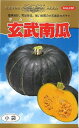 玄武南瓜 500粒 南瓜 カボチャ かぼちゃ