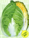 黄愛65 1dl 白菜 ハクサイ はくさい