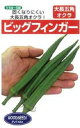 ビッグフィンガー 1L オクラ おくら