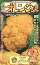 オレンジさん 1000粒 カリフラワー