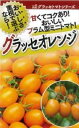 グラッセ オレンジ 1000粒 トマト とまと 蕃茄