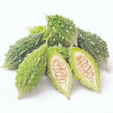 みにがうり 500粒 ニガウリ にがうり 苦瓜
