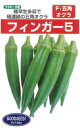 フィンガー5 1L オクラ おくら