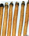 ノウリン 滝野川一号 キダネ 1L 牛蒡 ゴボウ ごぼう