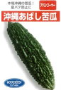 沖縄あばしゴーヤー 1L ニガウリ にがうり 苦瓜
