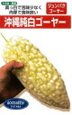 沖縄純白ゴーヤー 1L ニガウリ にがうり 苦瓜